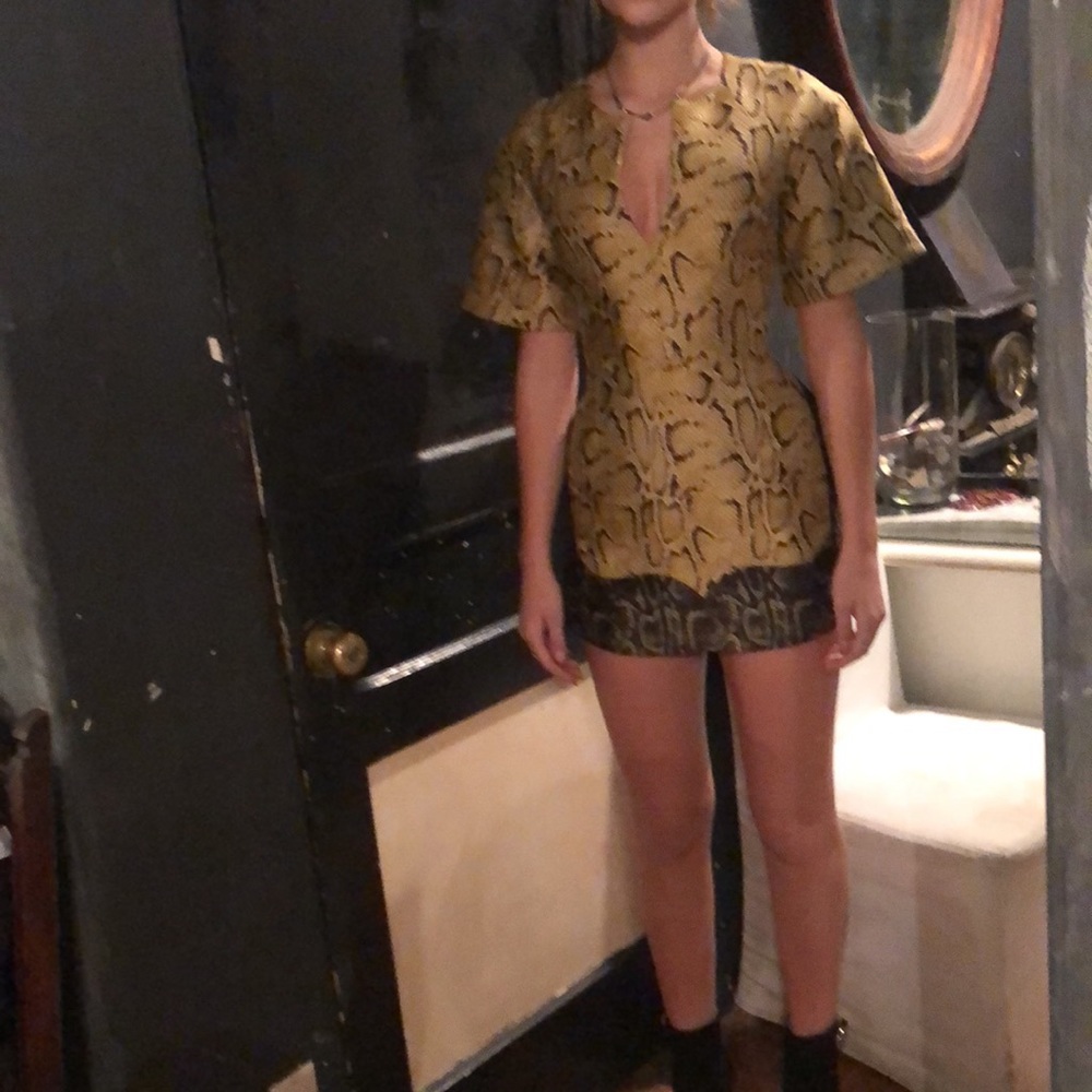 Stella McCartney PARTY Snakeskin Print Dress, SZ 36 - Picture 4 of 15